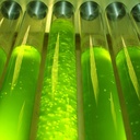 Planctontech SpiruleX PUR Fitoplancton Vivo con Spirulina Super Forte e aminoacidi in bottiglietta 5000ml