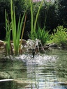 Pontec Pondo Vario 2500 Pompa per laghetto con giochi d'acqua 2500l/h