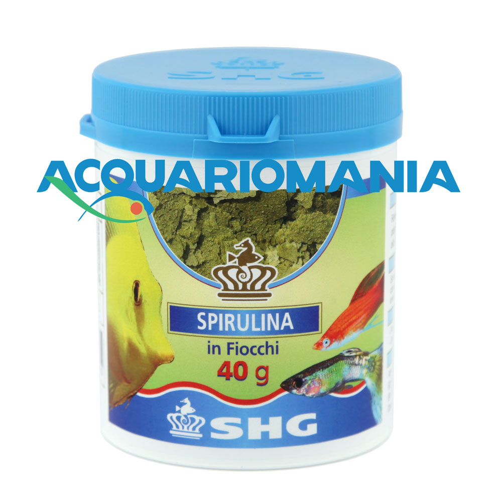 Shg Spirulina in Fiocchi 40g
