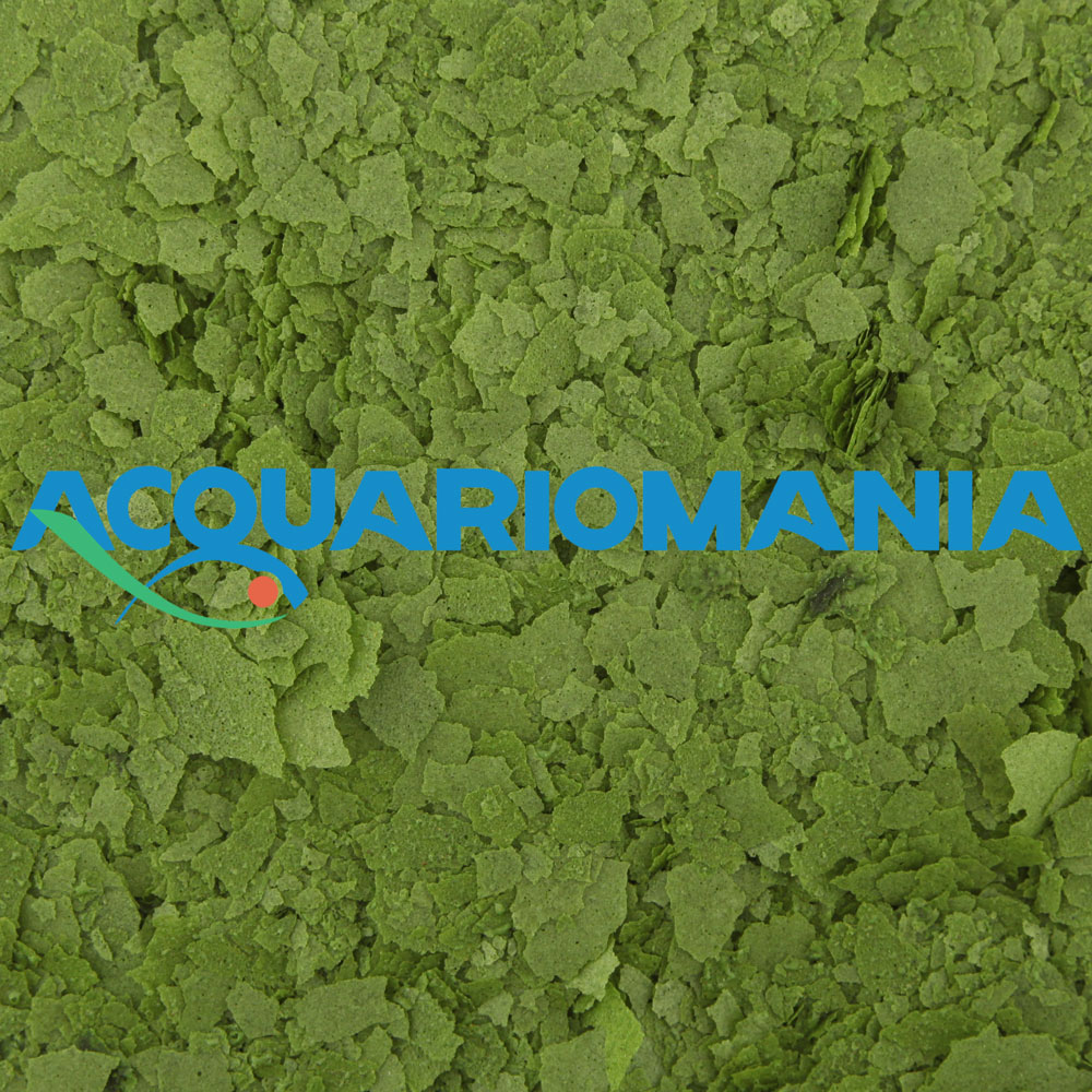 Shg Spirulina Fiocchi 750gr