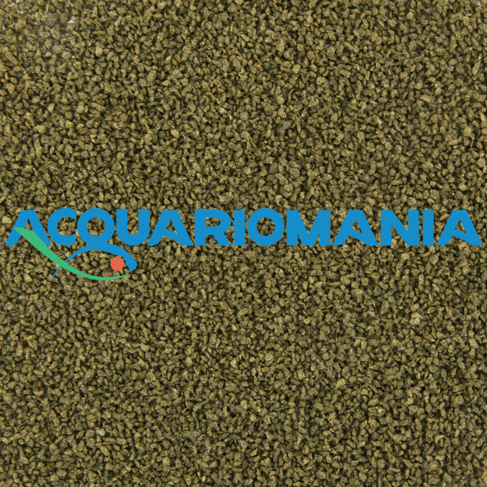 Shg Spirulina in granuli 100g