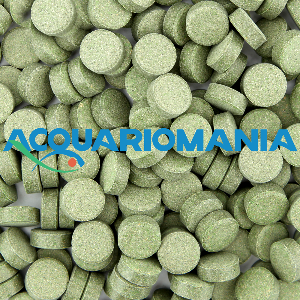 Shg Plecotabs Pastiglia da fondo per pesci vegetariani 60g