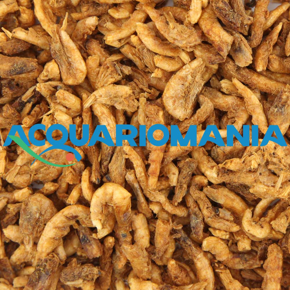 Shg Krill 50g