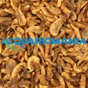 Shg Krill 10g