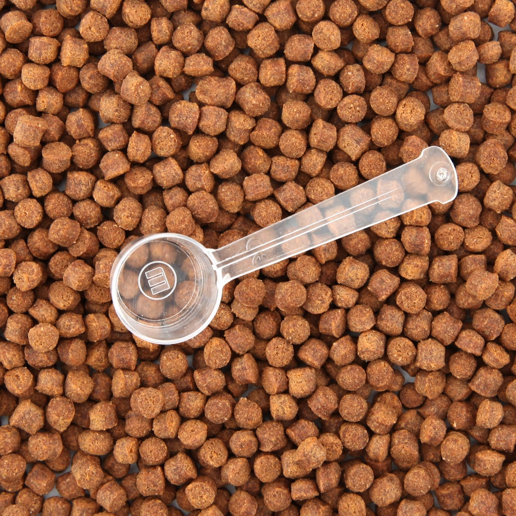 Aquaristica Pellet Ciclidi Super Color L 170ml 60g