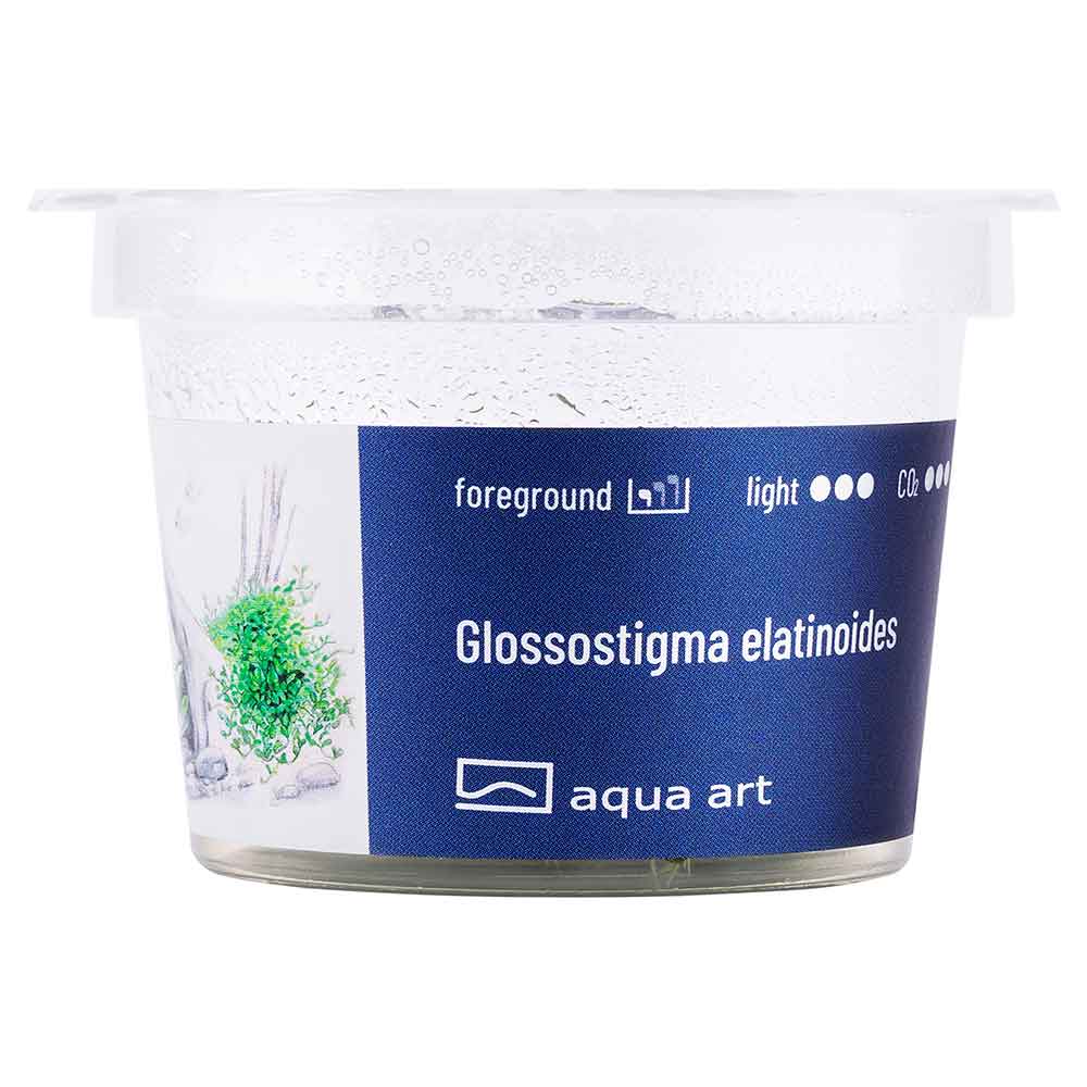 Aqua Art Glossostigma elatinoides in Vitro Cup