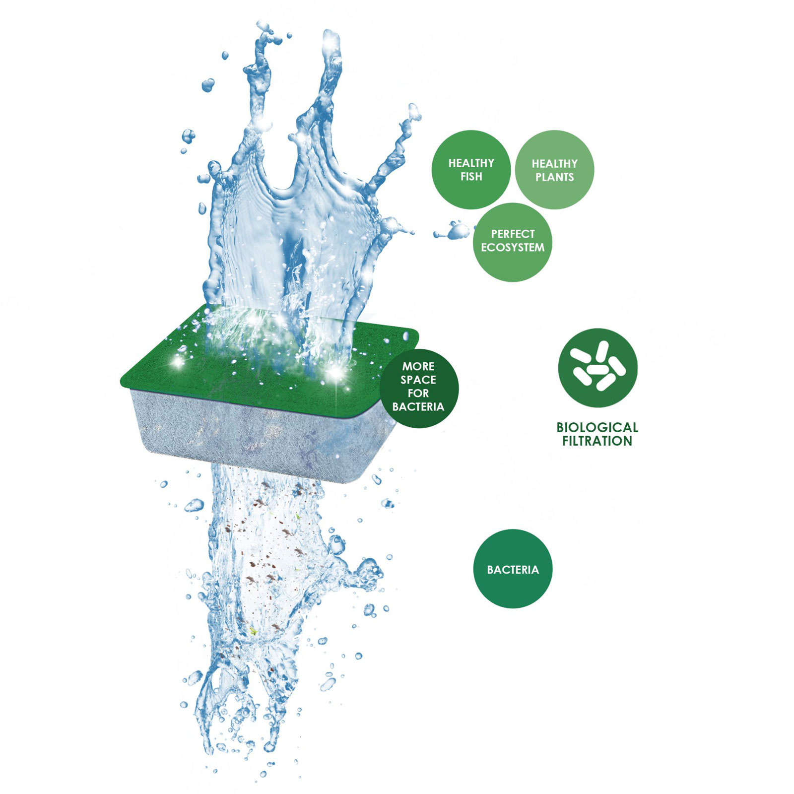 WATER BIO-BACT XL GREEN