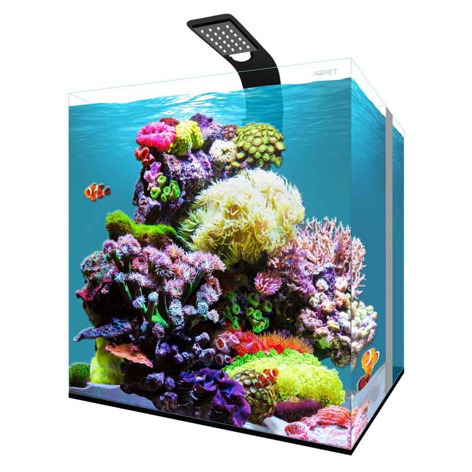 Aqpet Kubic Reef Box 40 Acquario Completo Acqua marina 64 litri 40x40x40h