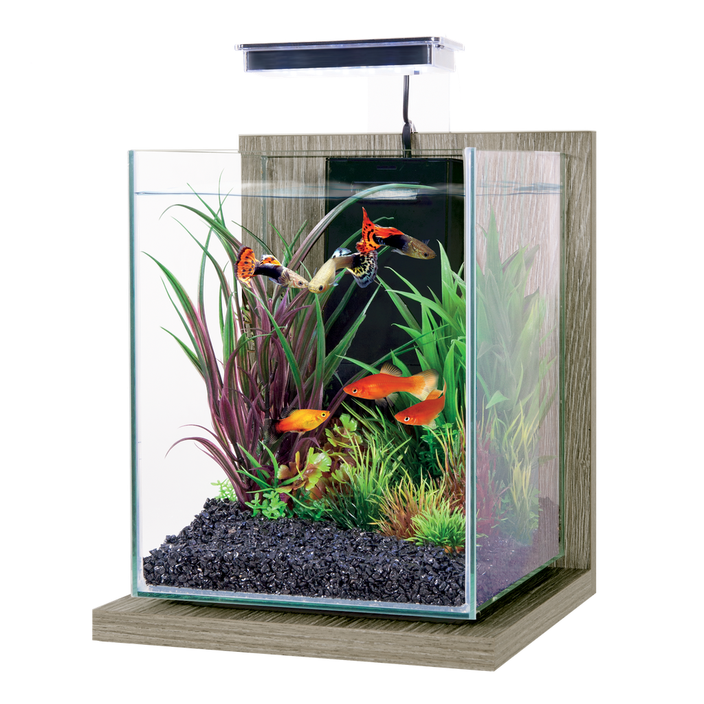 Zolux Jalaya 2 Acquario Zebrano grigio 10 litri