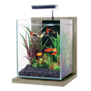 Zolux Jalaya 2 Acquario Zebrano grigio 10 litri