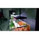 Chihiros WRGB 45 II Pro Plafoniera Led per Acqua dolce Nero 56W da 45 a 60cm