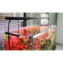 Chihiros WRGB 90 II Pro Plafoniera Led per Acqua dolce Nero 110W da 90 a 110cm