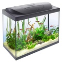 Tetra Acquario Starter Line Led 10W Completo 61x32x51cm 80litri New 2022 Con Luce Notturna