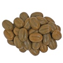Dupla Gel-o-Drops Bugs & Proteins Mangime per Pesci 12x2gr
