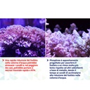Maxspect Nano Tech Phosphree Antifosfati 250ml