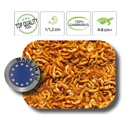 Haquoss Gammarus Natural Gamberetti per Tartarughe 1000ml 160gr