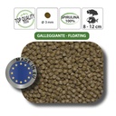 Haquoss Spirulina Gran Gourmet 100ml 46gr