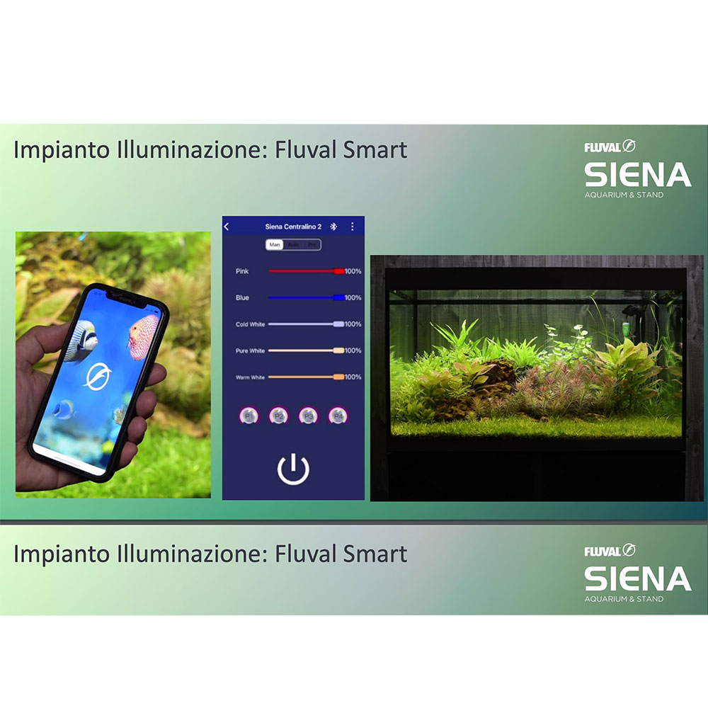 Askoll Siena 160 Combo Acquario con Supporto 55x55x55h cm