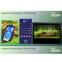 Askoll Fluval Siena 270 Combo Acquario con Supporto 90x55x55h cm