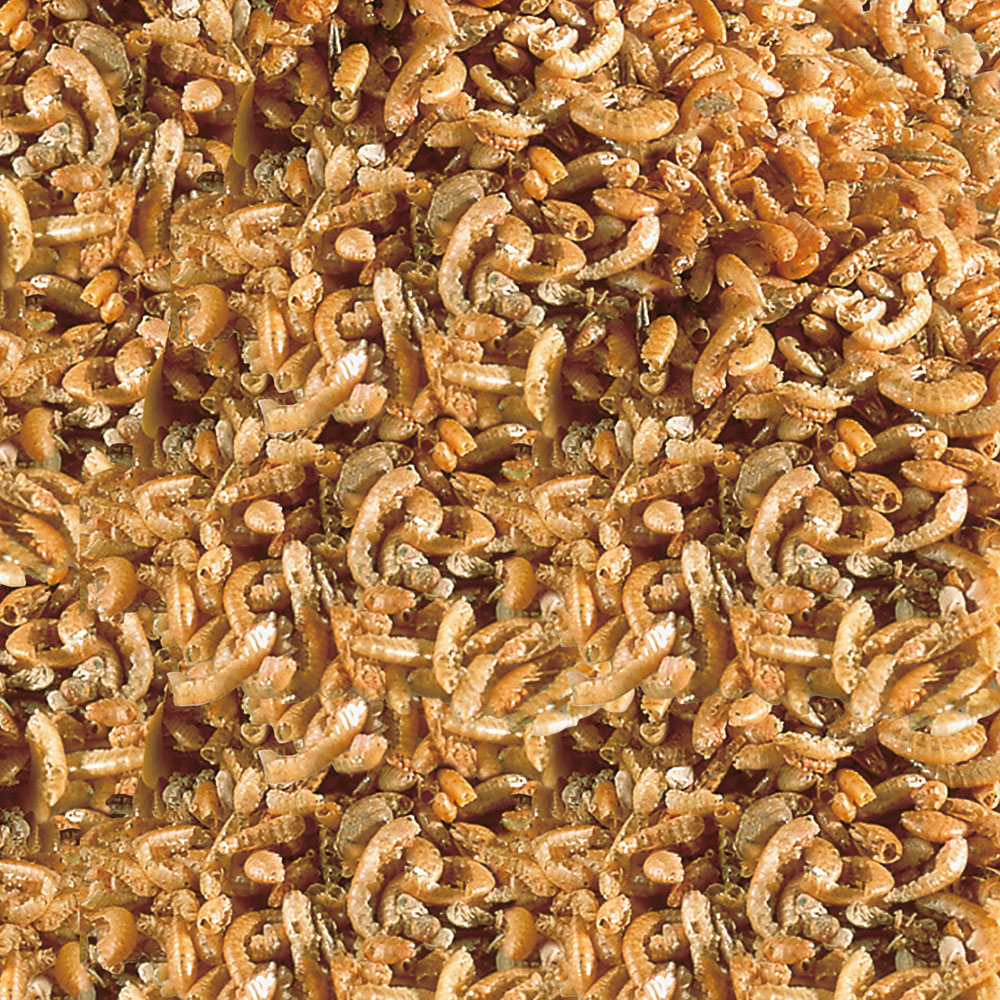 Sera Raffy I Nature Leccornie con Gammarus per Tartarughe e Sauri 250ml 36gr
