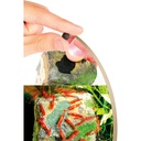 Dennerle Shrimp King Yummy Gum Cibo per Gamberetti 50gr