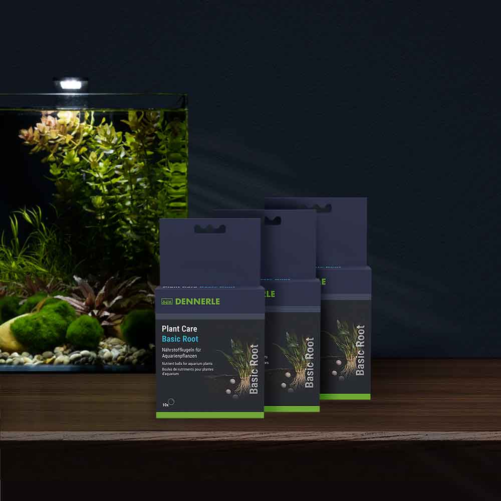 Dennerle Plant Care Basic Root Pastiglie Fertilizzanti 30pcs