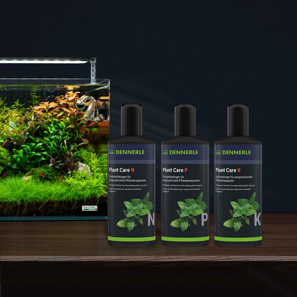 Dennerle Plant Care P (Potassio) Fertilizzante avanzato 250ml