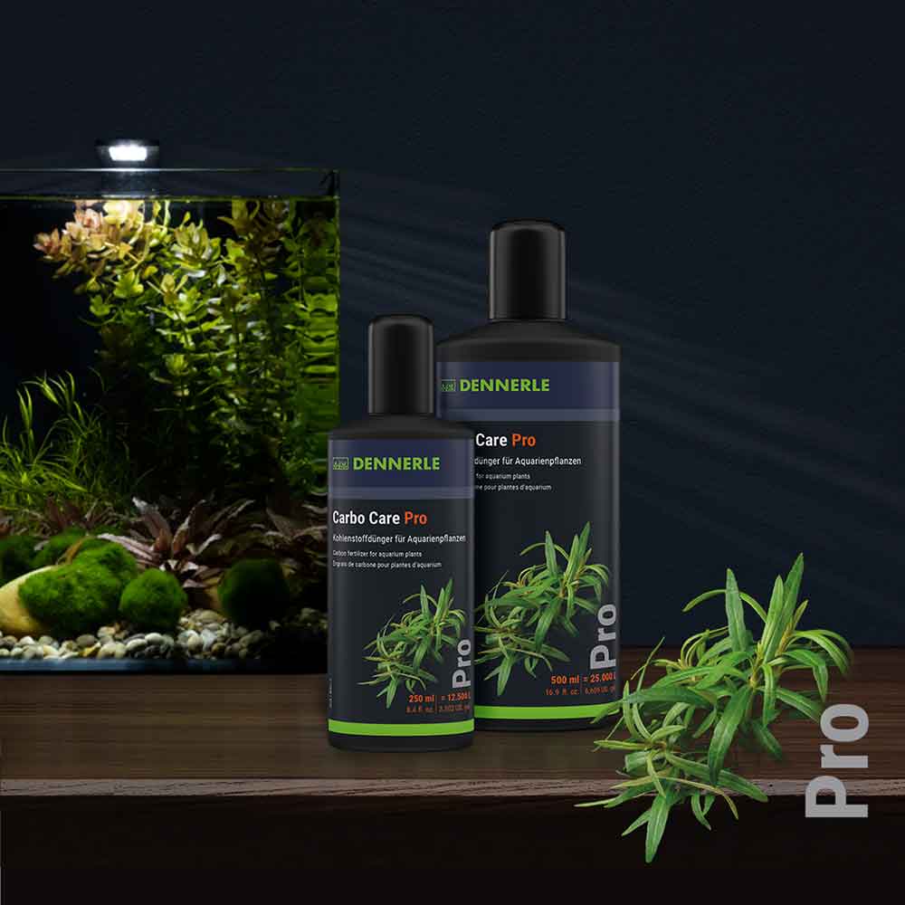 Dennerle Carbo Care Bio Fertilizzante Carbonio 250ml
