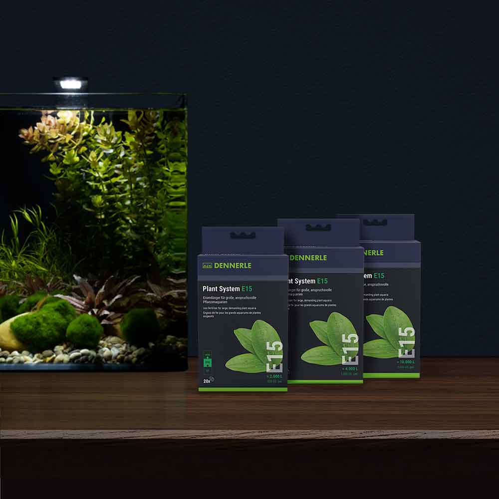 Dennerle Plant System E15 Fertilizzante a base di Ferro 20pz