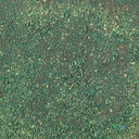 Two Little Fishies PhytoPlan Fitoplancton 30g