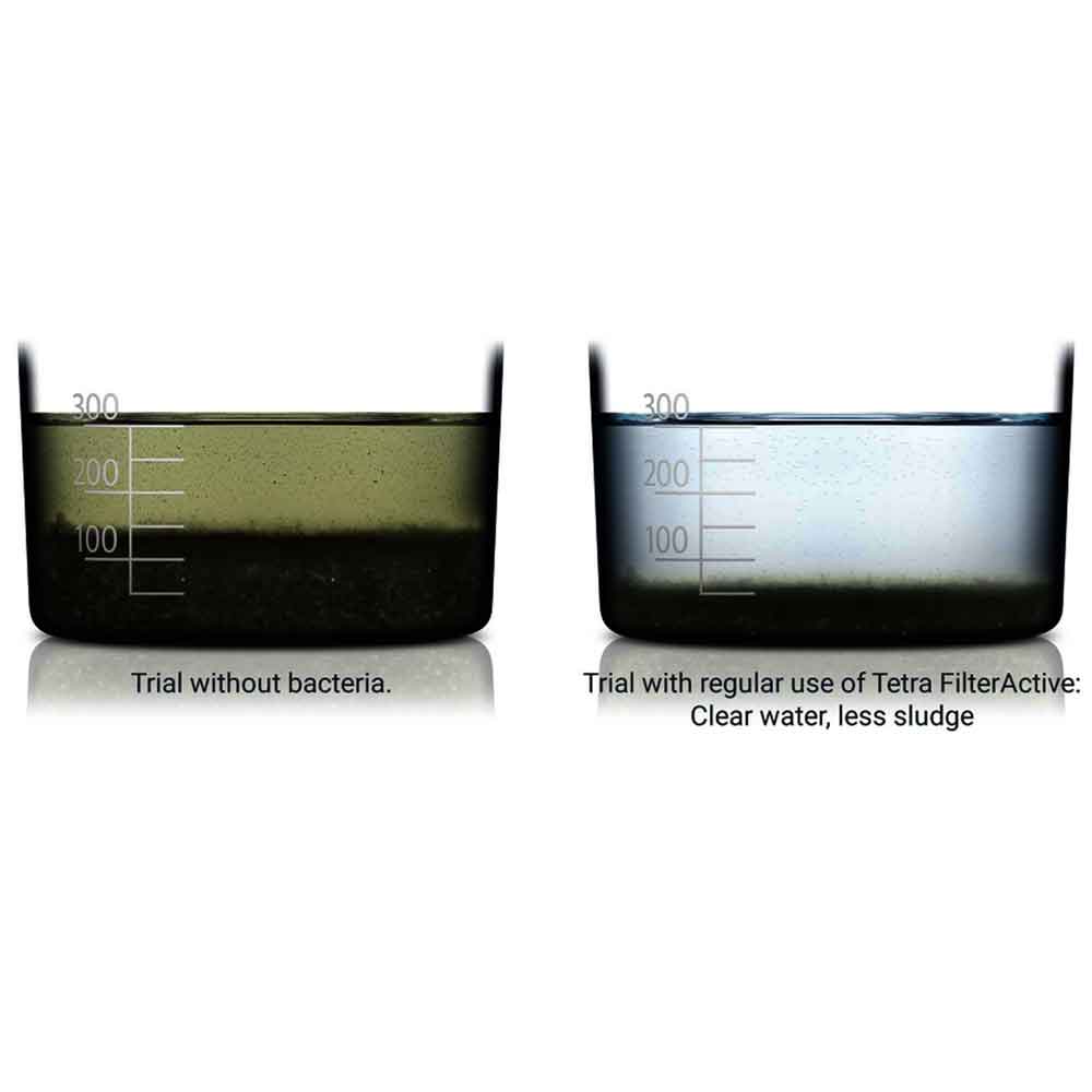 Tetra Filter Active Batteri benefici 250ml per 1000Lt