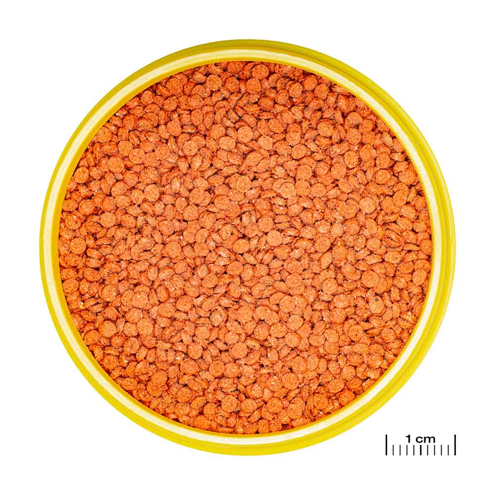 Jbl ProNovo Bits Diskus Grano M Granulare con Shrimps e Prebiotici 5000ml 2640gr
