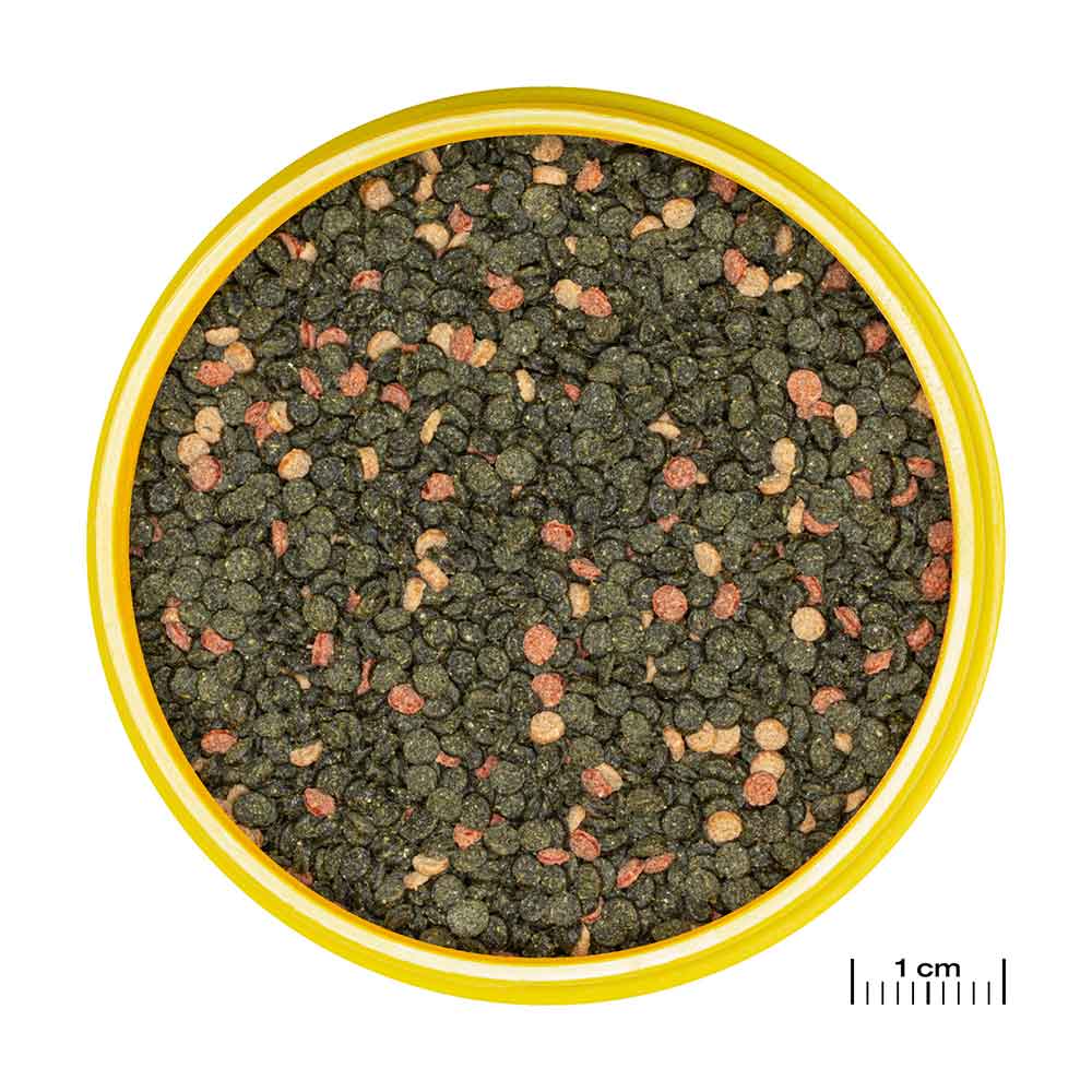 Jbl ProNovo Malawi Grano M Granulare con Spirulina e Prebiotici 1000ml 500gr