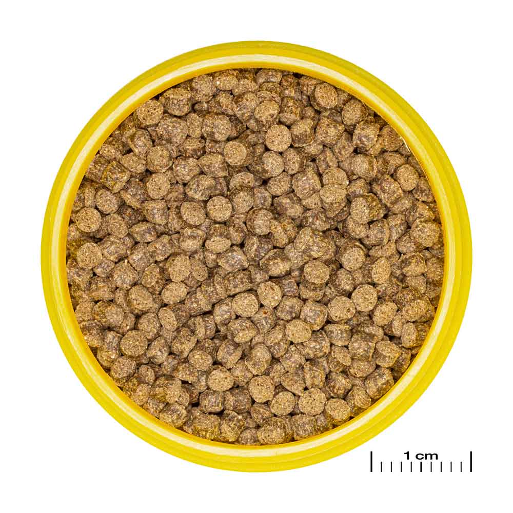 Jbl ProNovo Fantail Grano M Granulare con Shrimps e Prebiotici 250ml 145gr