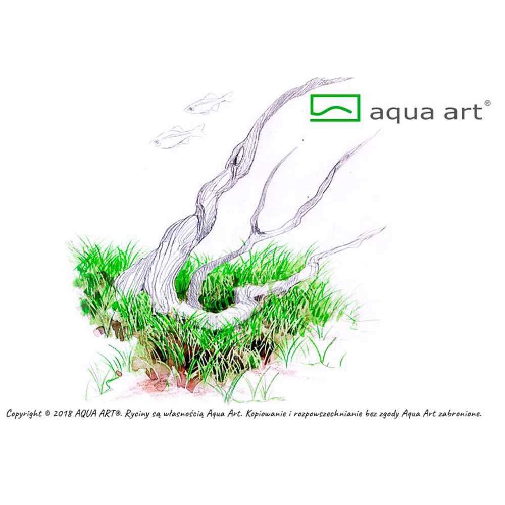 Aqua Art Eleocharis parvula &quot;Mini&quot; in Vitro Cup