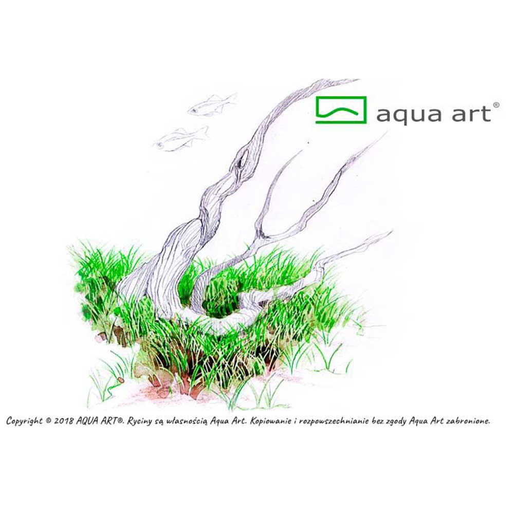 Aqua Art Eleocharis parvula "Mini" in Vitro Cup