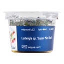 Aqua Art Ludwigia sp.'Super Mini Red' in Vitro Cup