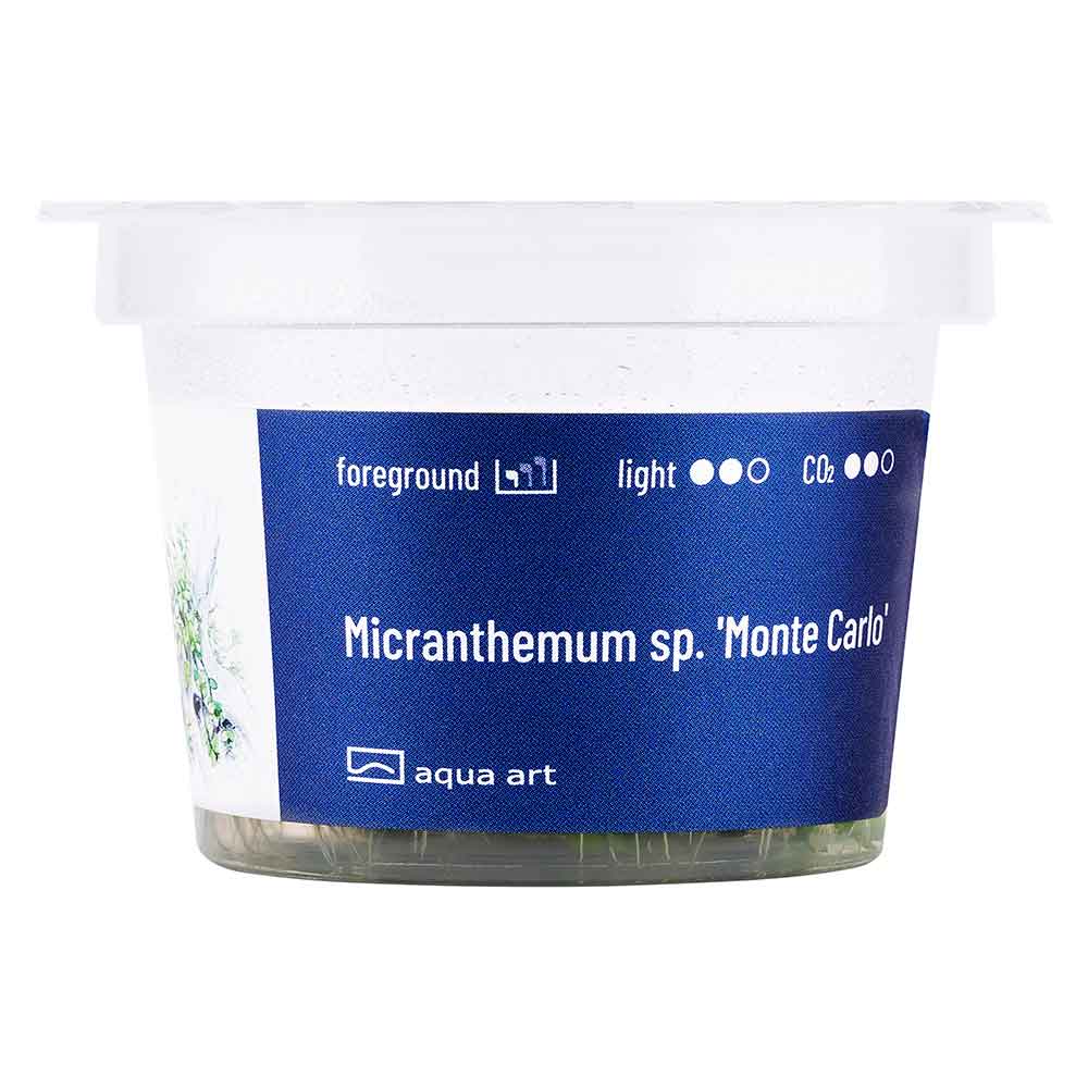 Aqua Art Micranthemum "Monte Carlo" in Vitro Cup