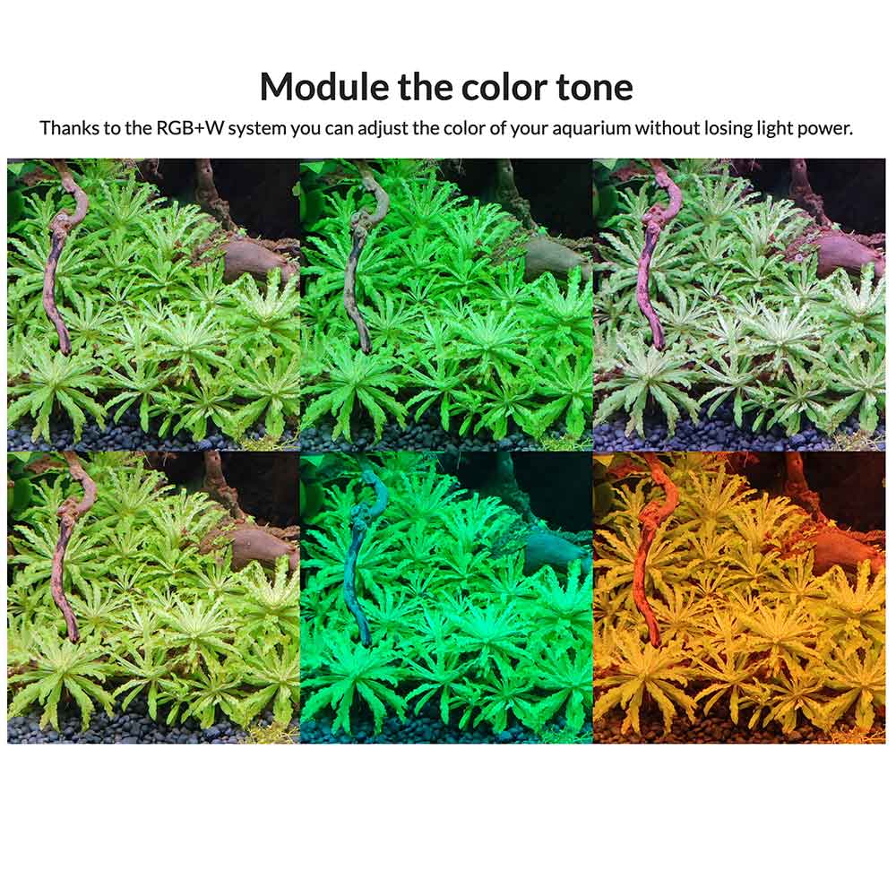 Blau Aquaristic Mini Lumina RGB+ 40cm Acqua dolce 31w