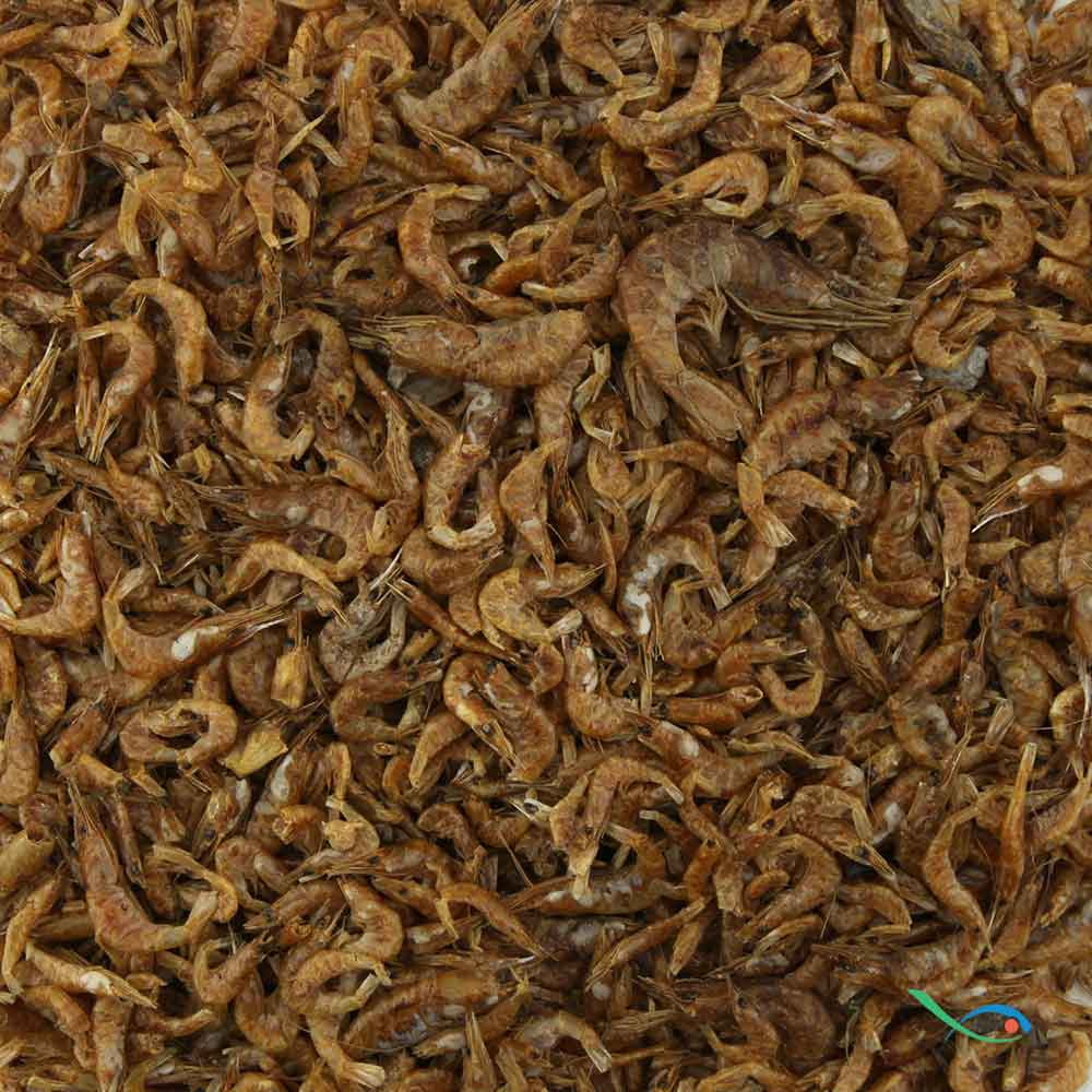 Blu Bios Tartarù Giga per Tartarughe d'acqua 150gr