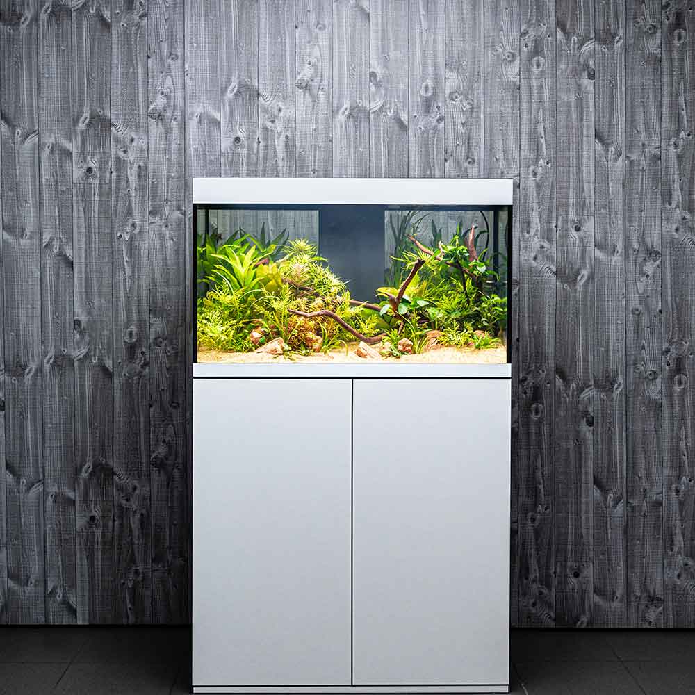 Askoll Opera 80 Acquario completo 80 litri Steel 45x40x50h cm