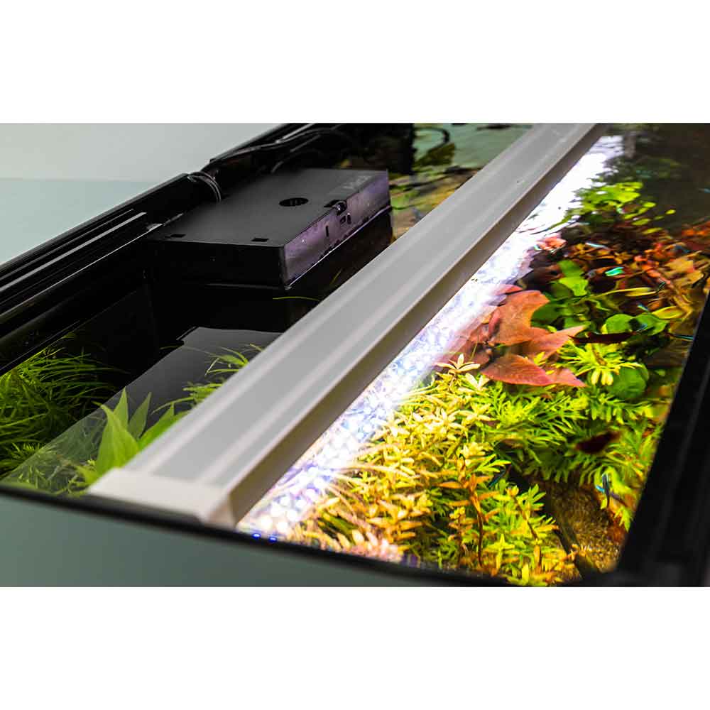 Askoll Opera 110 Acquario completo 110 litri Steel 60x40x50h cm