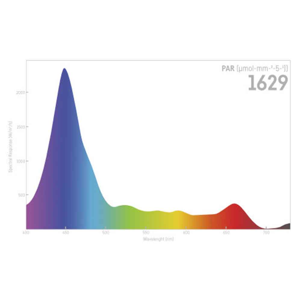 Reef Factory Reef Flare Pro M Lampada Acquario di Barriera Black 240W