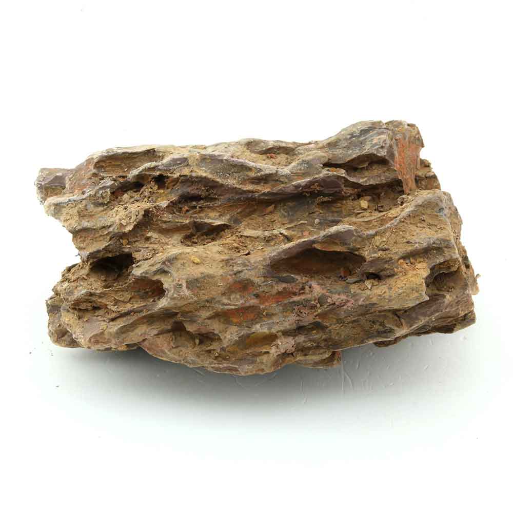 Roccia Dragon Stone 7 Foto Reale 17x13x9h cm
