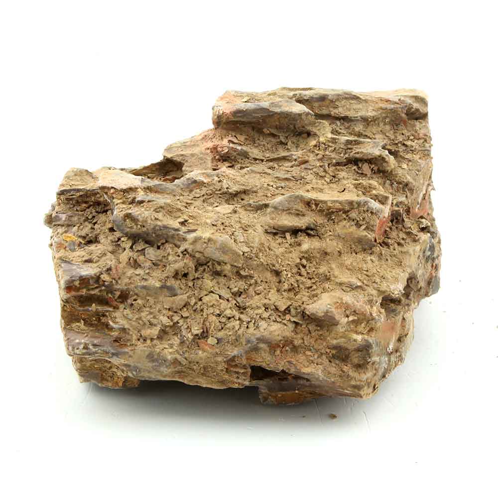 Roccia Dragon Stone 8 Foto Reale 17x13x9h cm