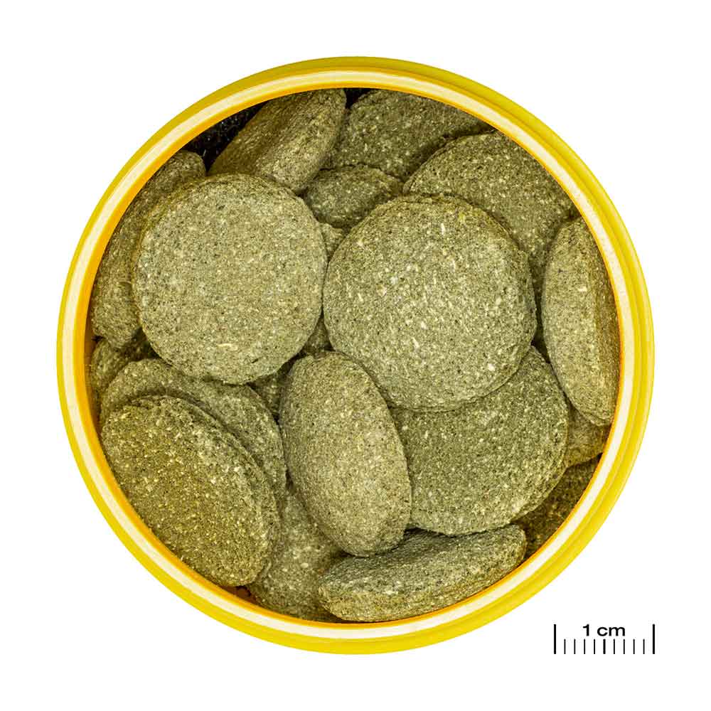 Jbl ProNovo Pleco Wafer XL con Fibre di legno e Prebiotici 1000ml 510gr