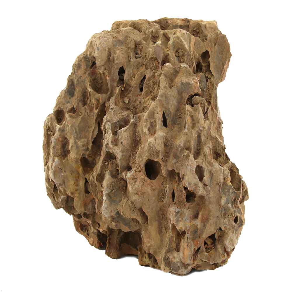 Roccia Dragon Stone 45 Foto Reale 23x13x7h