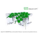 Aqua Art Echinodorus quadricostatus in Vitro Cup
