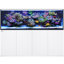 Red Sea REEFER™ Peninsula S-950 G2+ Bianco Acquario marino 720lt 200cm