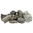 Roccia Grey Mountain prezzo al Kg